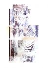 TIGRE, 2013-polyptyque, bic 4 couleurs sur papiers-320x200cm